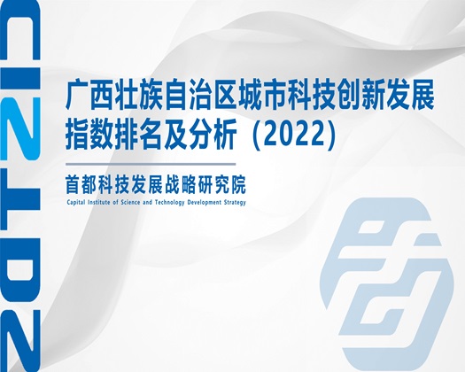 骚操揉捏啊啊【成果发布】广西壮族自治区城市科技创新发展指数排名及分析（2022）